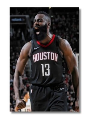 James Harden obraz basketbalistu (2)