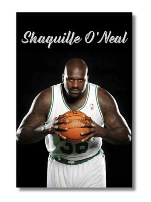 Shaquille O'Neal obraz basketbalistu (2)