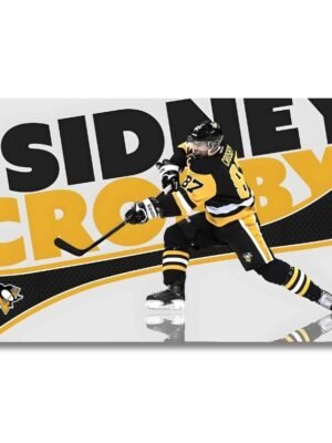 Sidney Crosby obraz hokejistu (2)